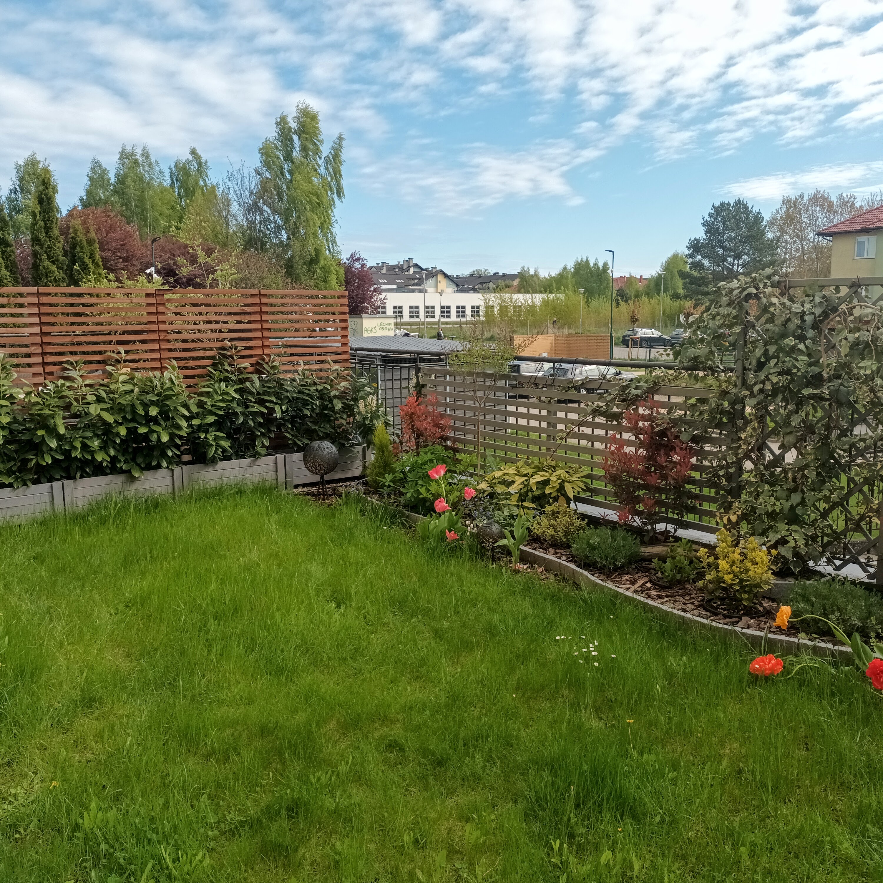my garden on Mars